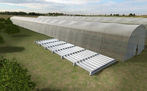 Estufa agroindustrial com recetores RTS PLUS
